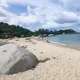 Colombianos en Malta