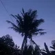 soncheztrip >> bali