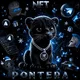 PONTERA |NFT