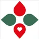 Stipendium Hungaricum Scholarship Program