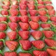 Фрукты-овощи Хороль,Камень-рыболов🍍🥭🥑🍇🍓🫐🍅🥒🌶🍋🍌🥑🍆🧄🧅