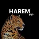 Harem.erbil.vip