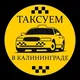 Таксуем в Калининграде
