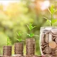 MONY INVESTMENT