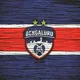 Bengaluru fc Fans