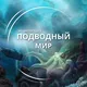 Подводный мир | Познавательное