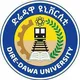 Dire dawa university freshman