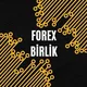 FOREX BİRLİK ☝️(FX)