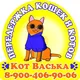 Котогостиница "Кот Васька"