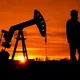 PANORENT OIL