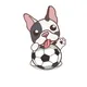 SoccersDog Global