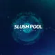 Slushpool DGB Virtual Mining