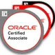 Java Developers: Certifications and Interview Study (courses, resources, ...)