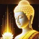 မော်လမြိုင်ကျွန်းသား