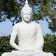 DHYANASATRM - ధ్యాన సత్రం 💐🙏🌹Meditation🚩,,,,,
