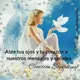 Mensajes Angelicales✨