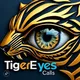 🧿TigerEye Crypto Calls👀🐅