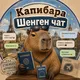 Капибара Шенген чат Дубай/Абу-Даби