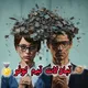 🇦🇫گروه تبادلات رفرال فورسین🪬
