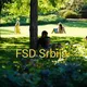 FSD Serbia (community)