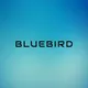 BLUEBIRD SHOES