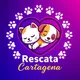 RESCATA CARTAGENA 🐶🐹🐰 [J]