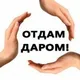 Отдам даром Костомукша