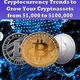 BITCOIN USA INVESTMENT COMPANY LIMITED