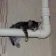 сева.ехе