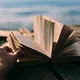 Bookworms. Limassol