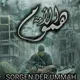 Sorgen der Ummah