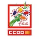 Canal empleo de la FSS CCOO PV