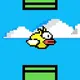 Meta Birds Channel