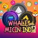SOLANA WHALE INDONESIA 🐳🐬