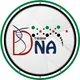 DNA Dent 2028 - Homs