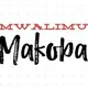 Mwalimu Makoba Online