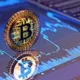 CRYPTO SUCCESS NETWORK Your Gateway to Crypto Success.
