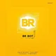 تفعيلات بوت BR