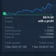 Top Trade Investment