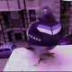 تجنيد حك محارب للبيع