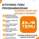 Temu haqida ma’lumot