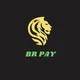 BR Payment Group international INDIA