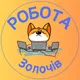 Робота Золочів