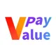 V-PAY 领导者
