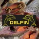 DELFIN🐬Рыба Северная Германия🇩🇪 (Norddeutschland)