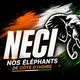 Nos Éléphants de Côte d’Ivoire 🇨🇮