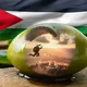 Gaza - Palestine and Israel News