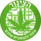 קהילת הצינור צפון תל אביב