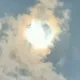 Toshkent eski va yangi bozori baraxolkasi