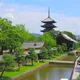 Kyoto⛩